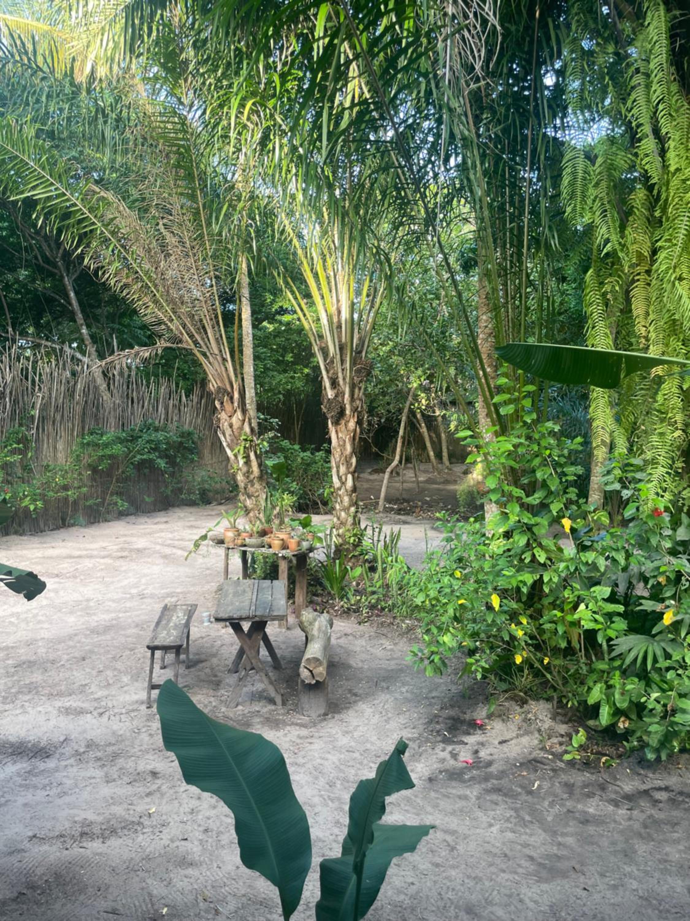 Vila Pitanga - Arandis