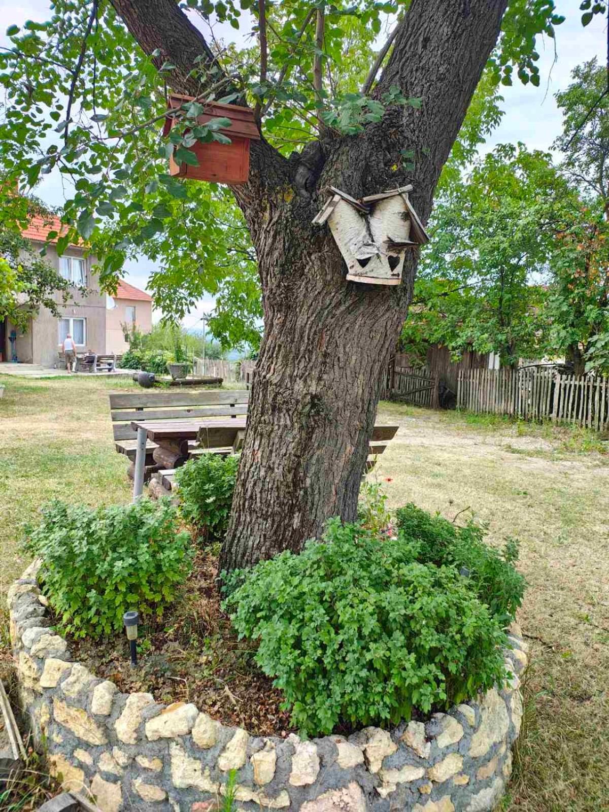 Domacinstvo Jelkici