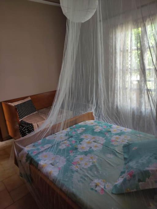 Anastasia's house view 4