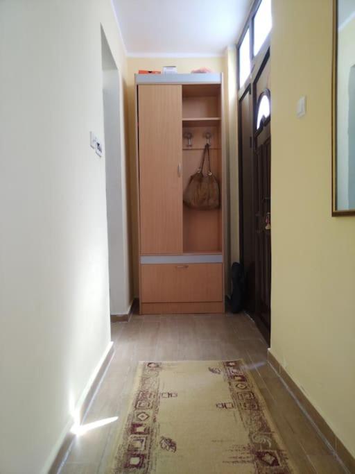 Igalo Apartman Despich view 3