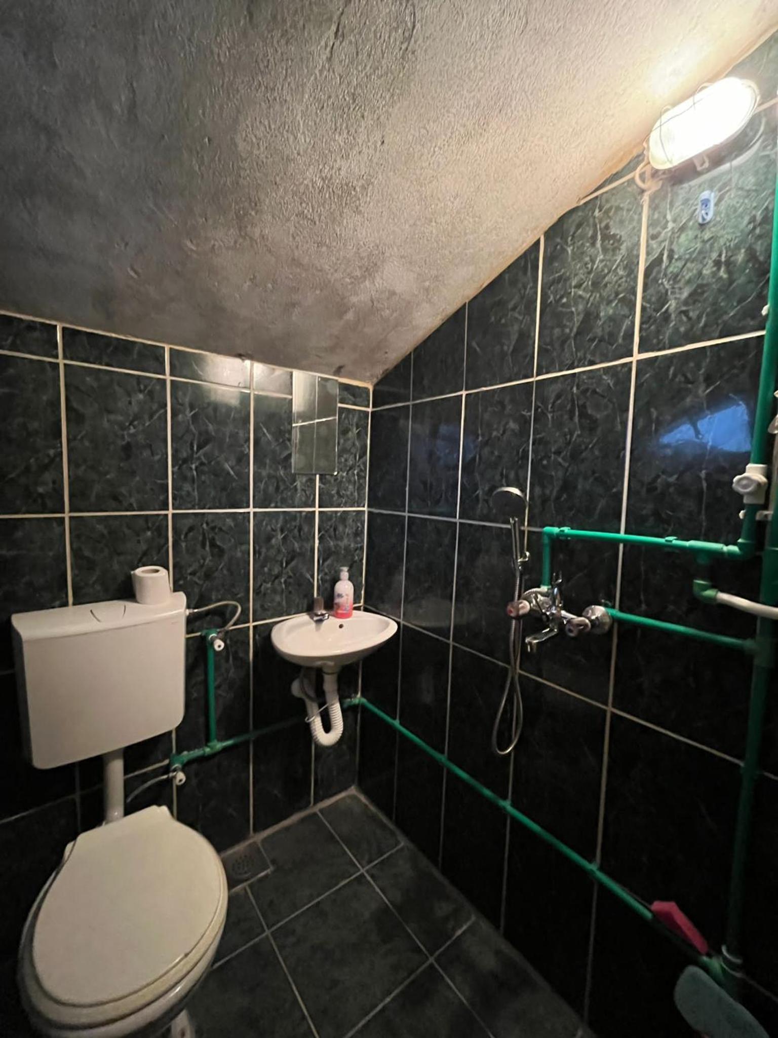 Apartman Tara view 4