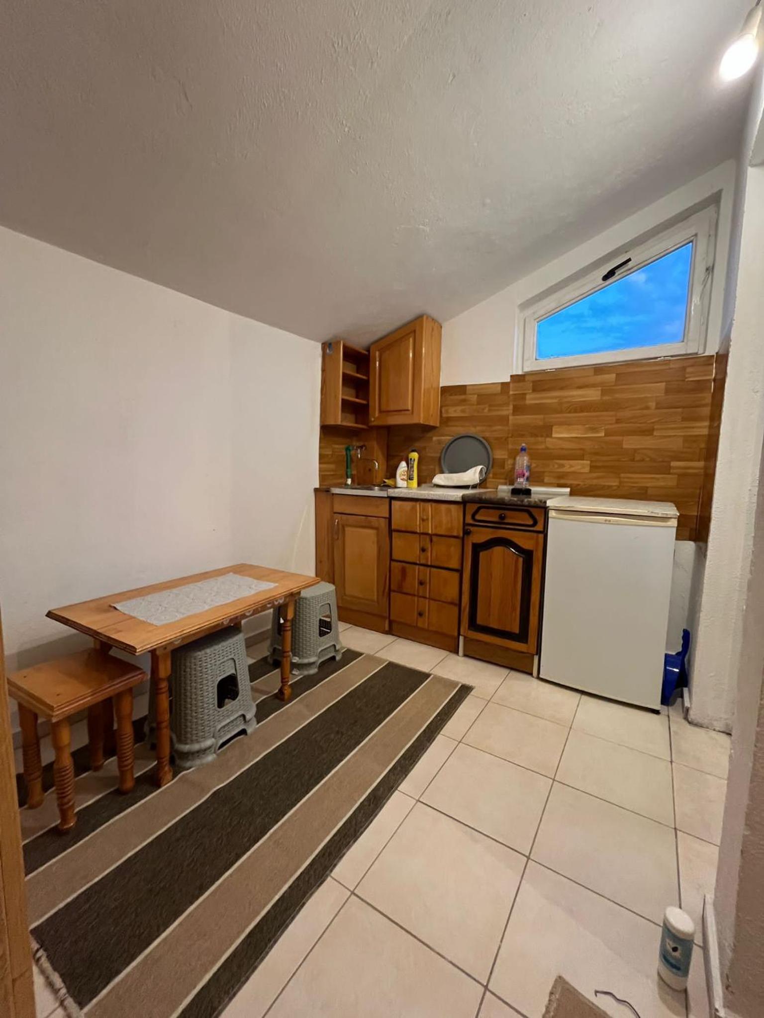 Apartman Tara view 3