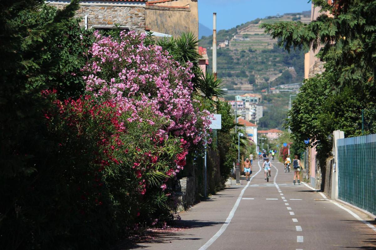 Appartamento Agapanthus