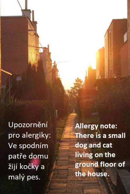 EN Homestay with private top floor, 3 bedrooms, bathroom, kitchenette, host stays downstairs with a cat and 2 small dogs --- CS Soukromé horní patro, 3 lož