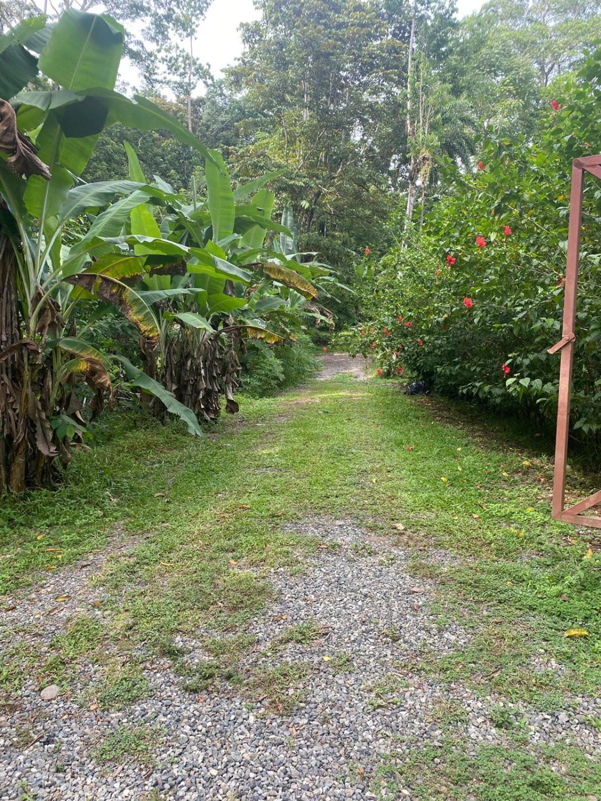 Caribbean Retreats