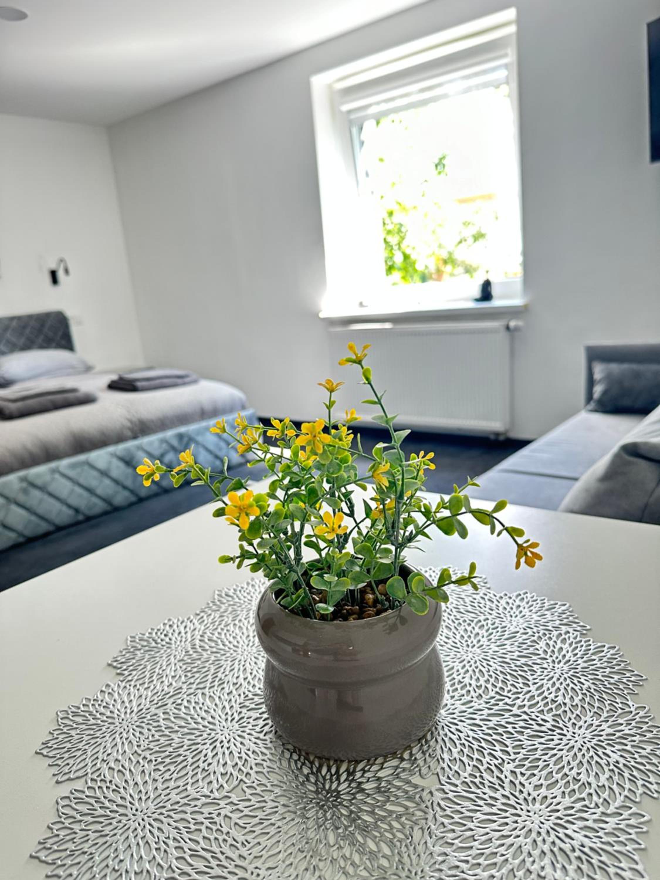 SILVIA apartment 109 view 2