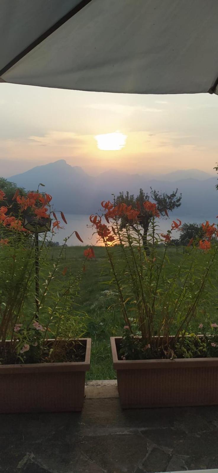 La Paloma San Zeno view 5