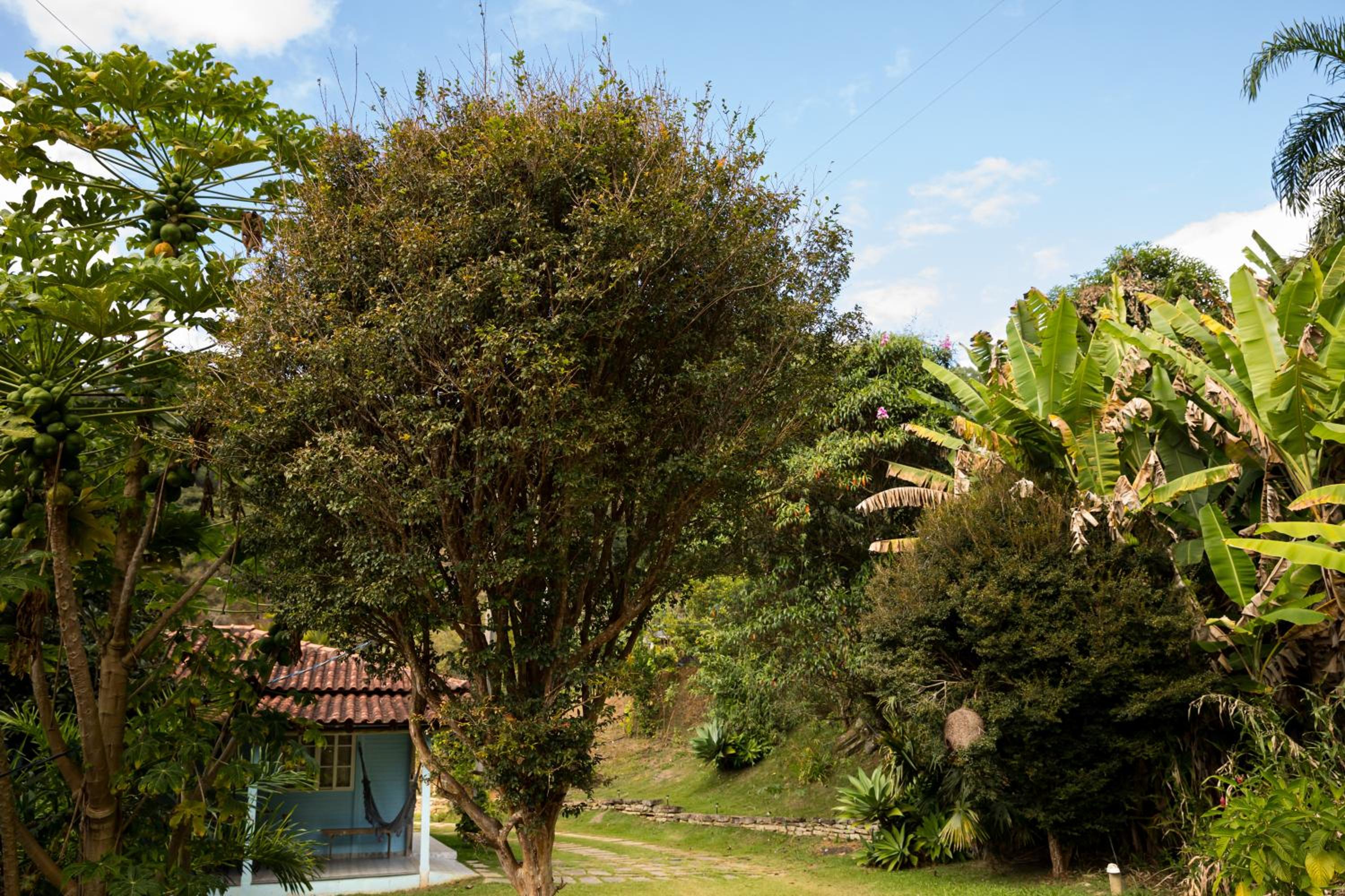 Pousada Altoé da Montanha