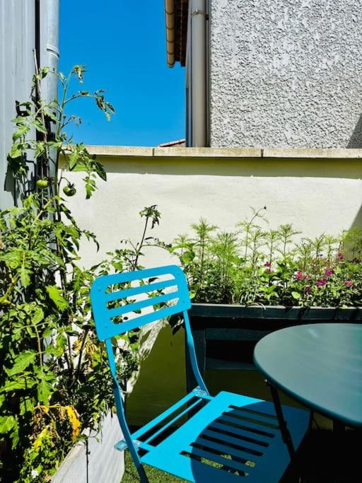 Rey - T2 terrasse, Cœur de ville