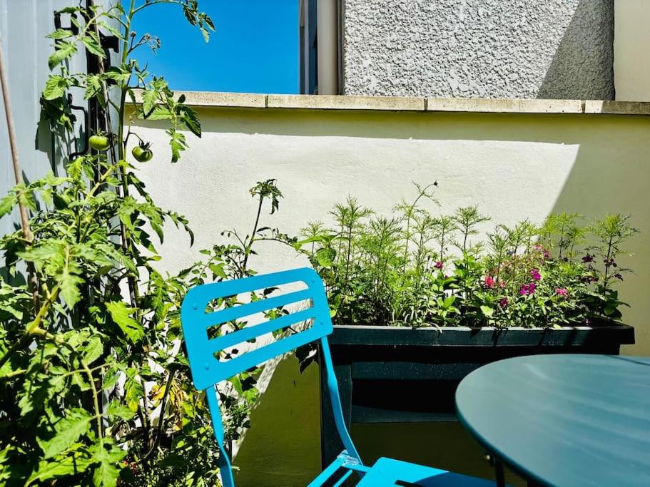 Rey - T2 terrasse, Cœur de ville