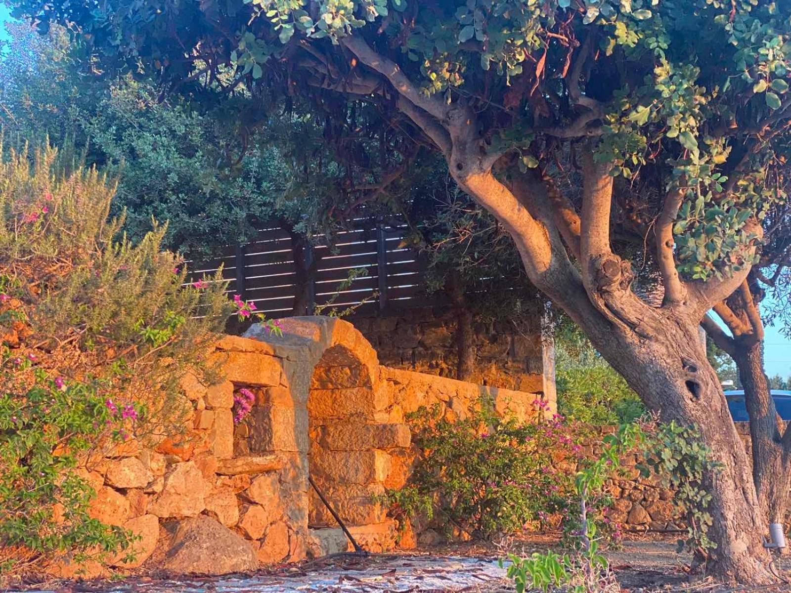 Serenity Garden Ammoudara