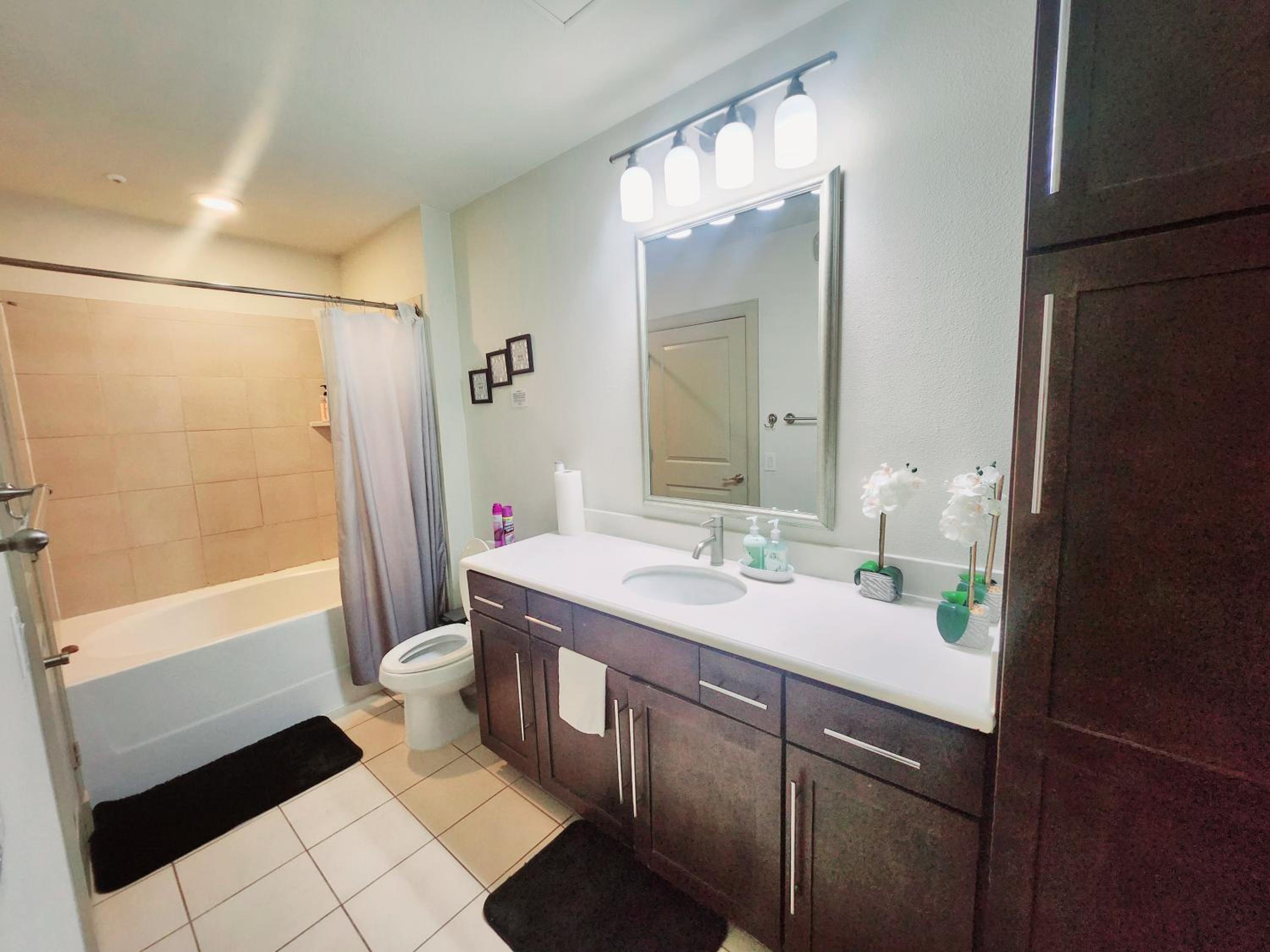 Belle Maison near Medical Center NRG Stadium view 2