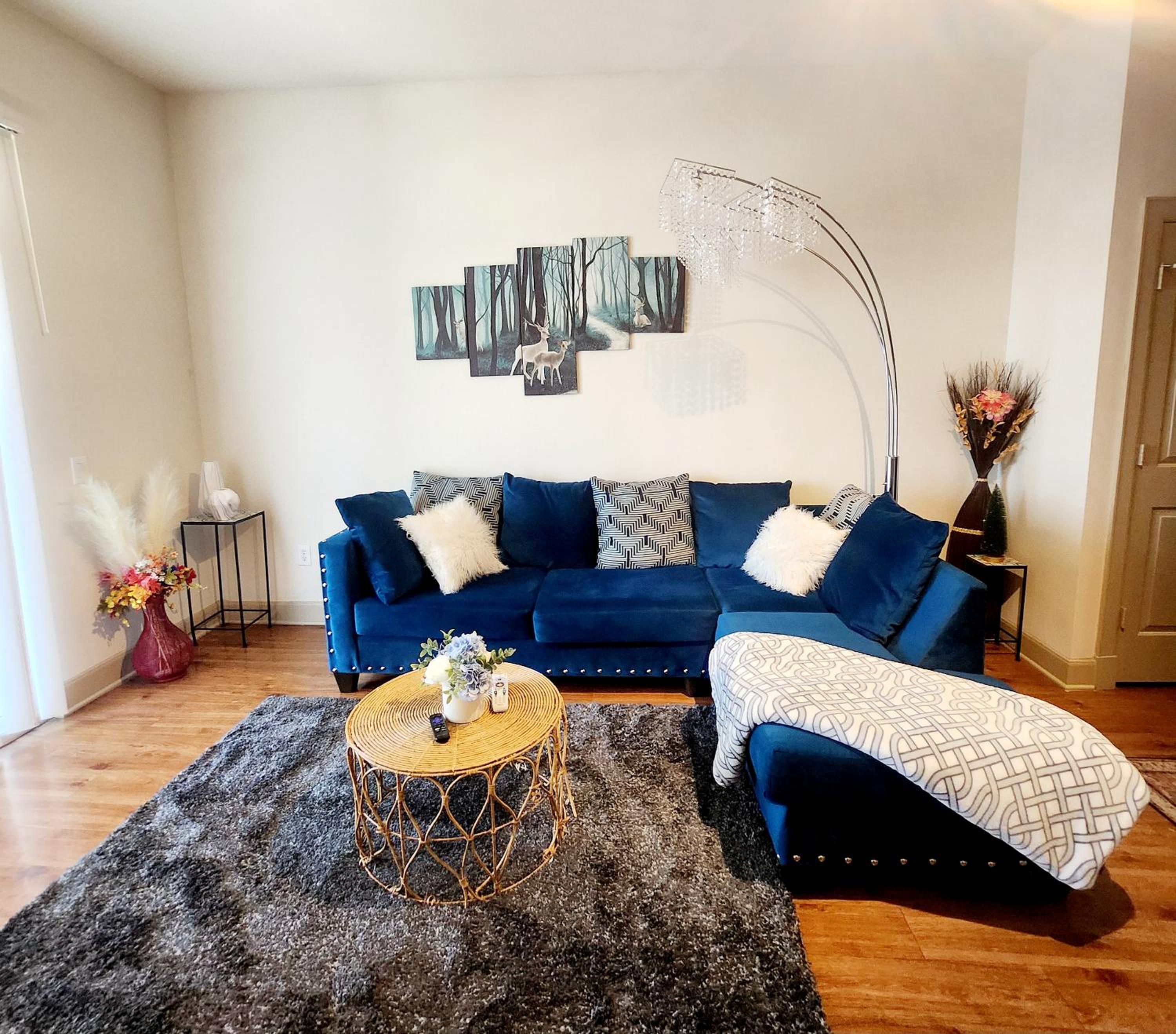 Belle Maison near Medical Center NRG Stadium view 3