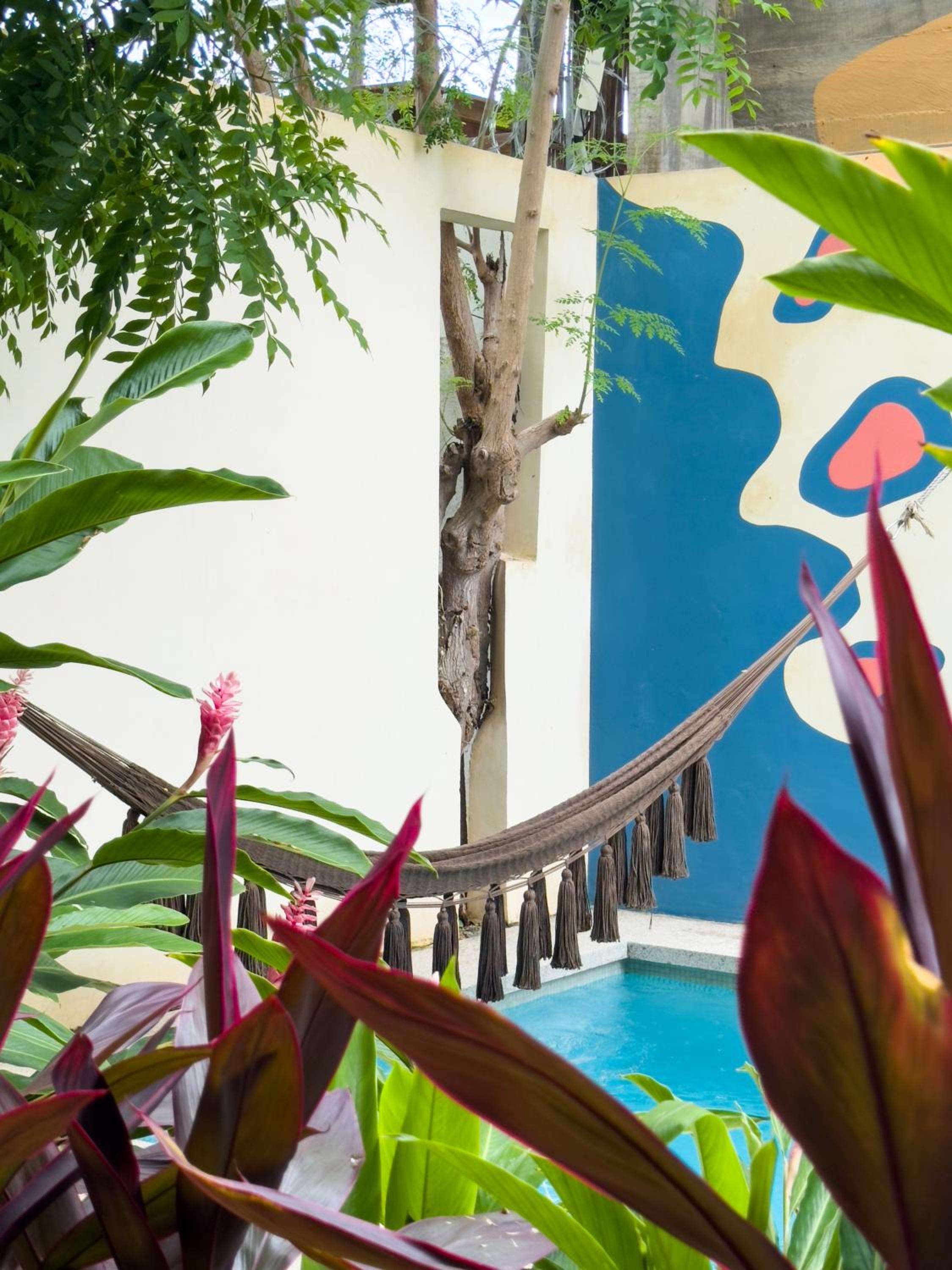 Casa Borka LUXURY FULLY FURNISHED BEACH CONDOS WITH POOL