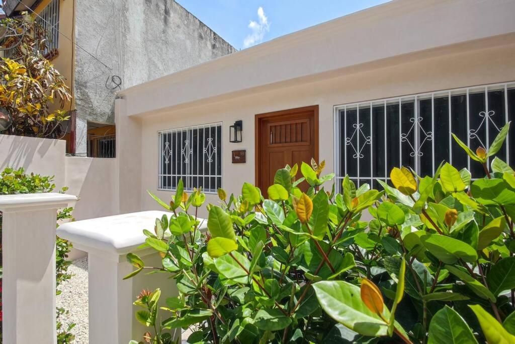 Acogedora y moderna Casa Coatí