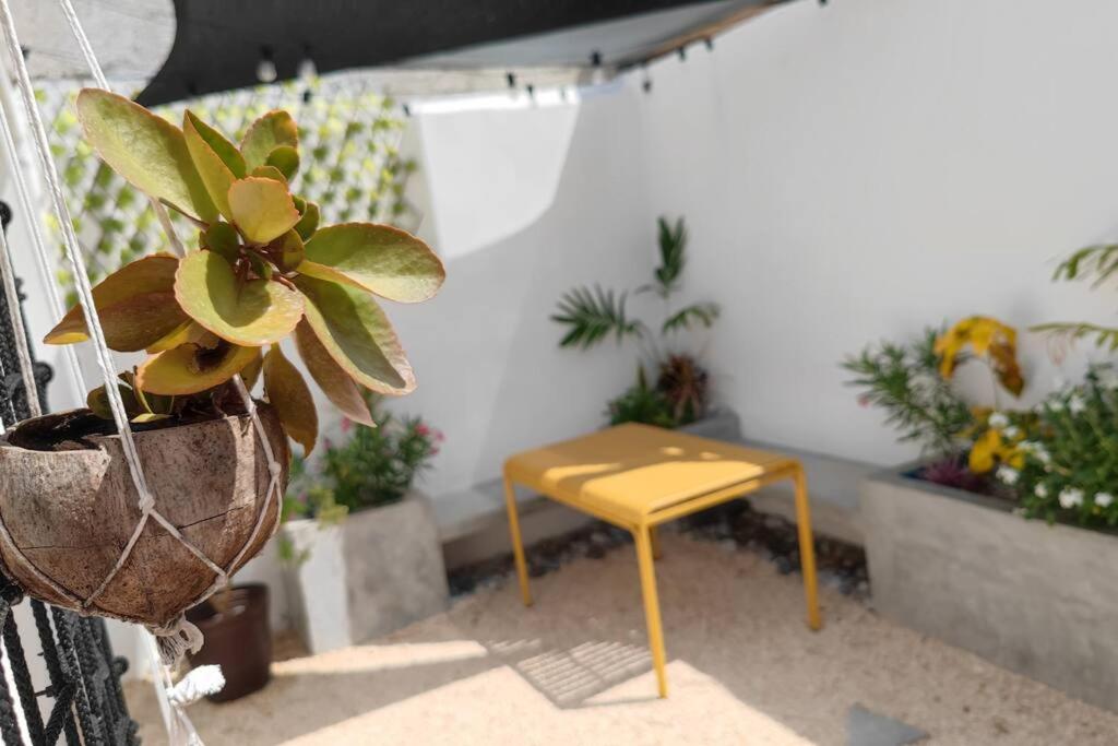 Acogedora y moderna Casa Coatí