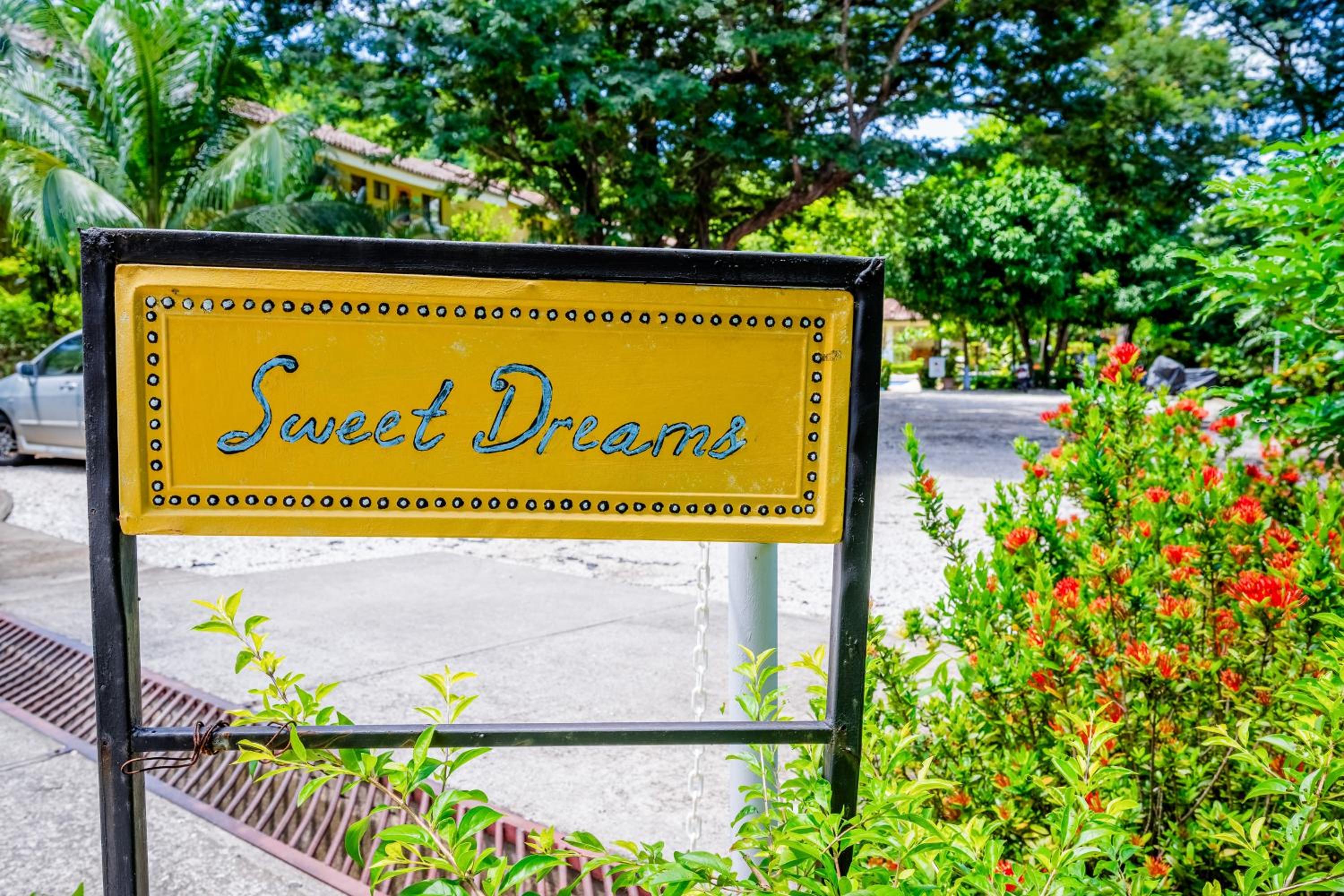 Sweet Dreams #1