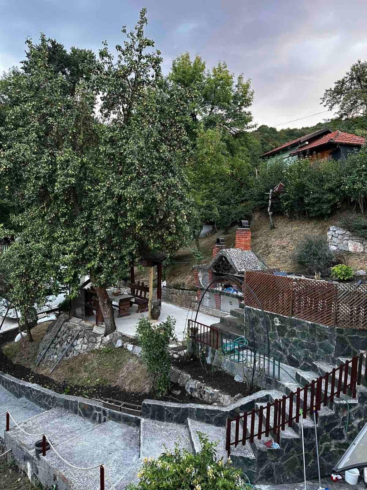 Villa La Vida