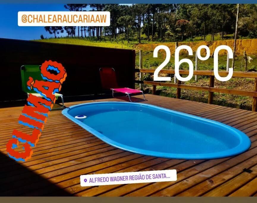 ChaleAraucariaAw