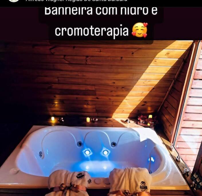ChaleAraucariaAw