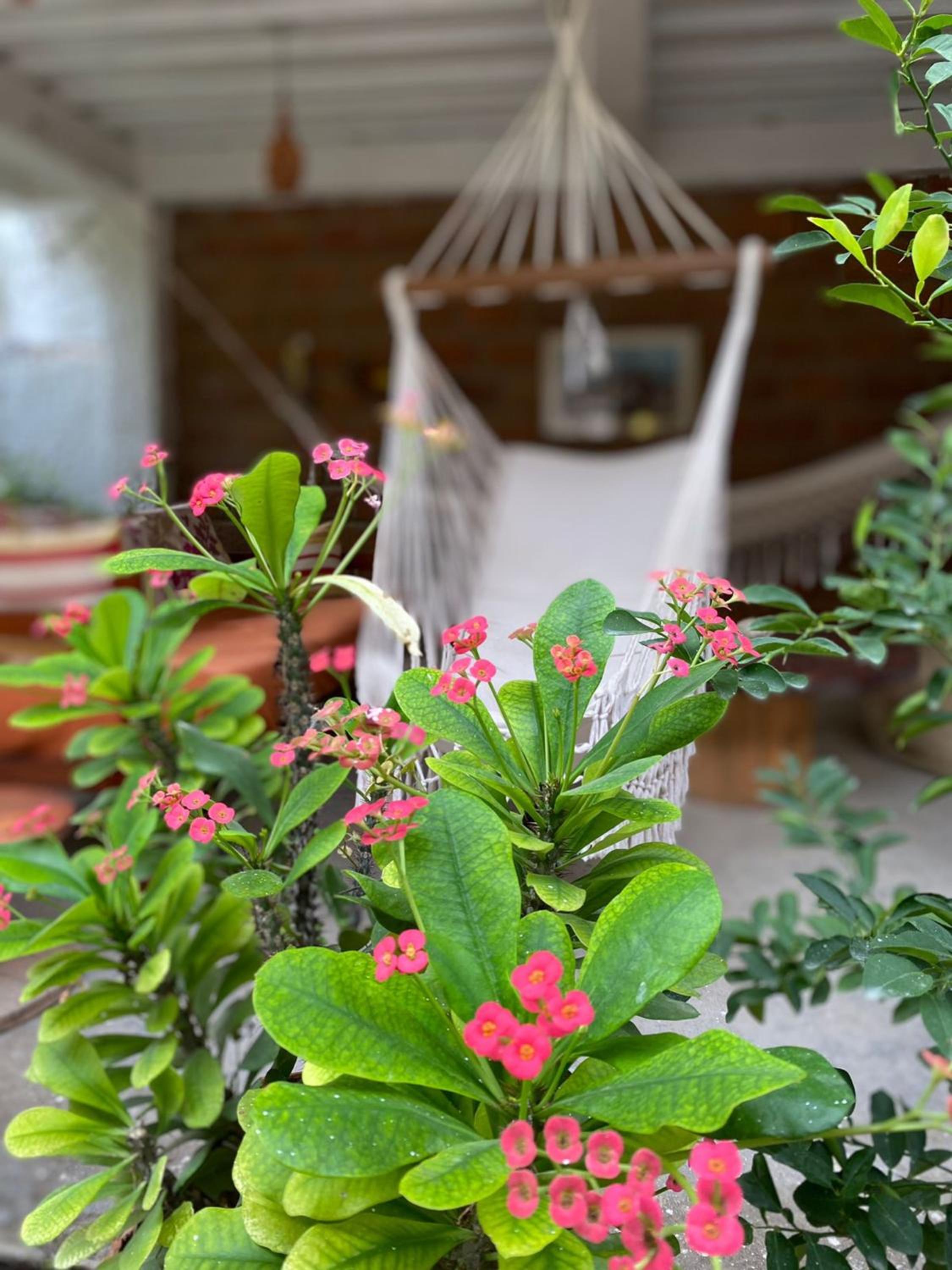 Casa Tara - Property Image 66