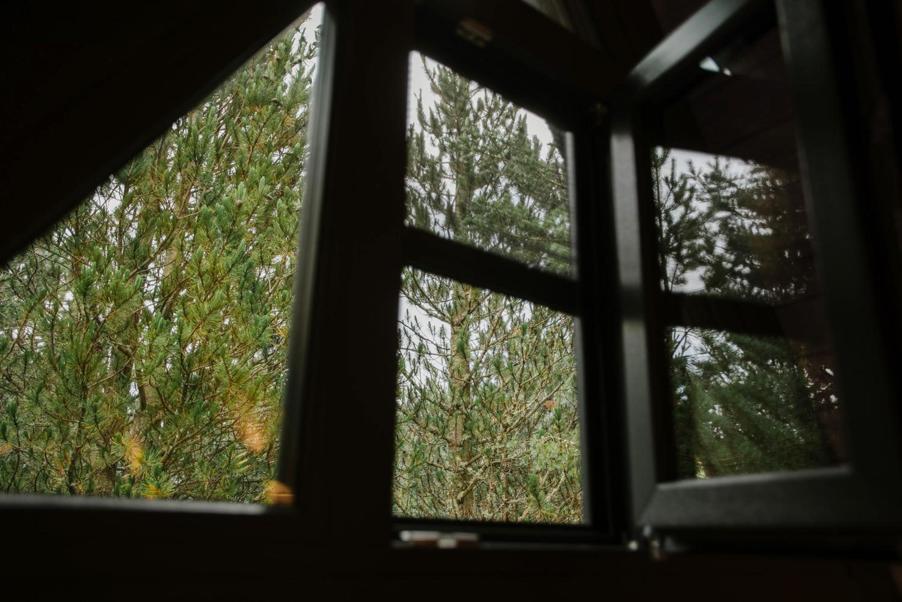 Pinery Blidinje A-Frame House