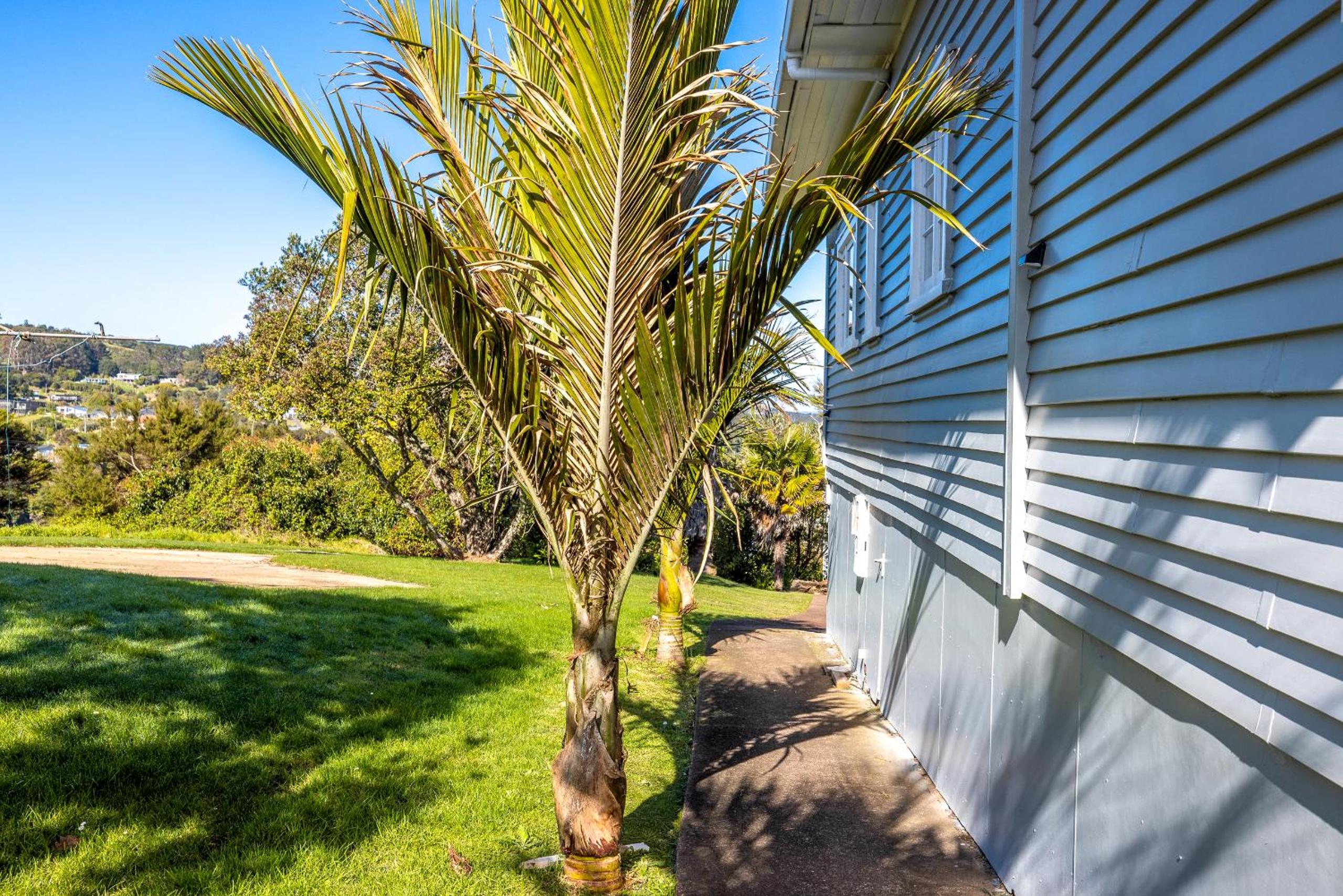 Onetangi Clifftop, Onetangi - Be My Guest Waiheke