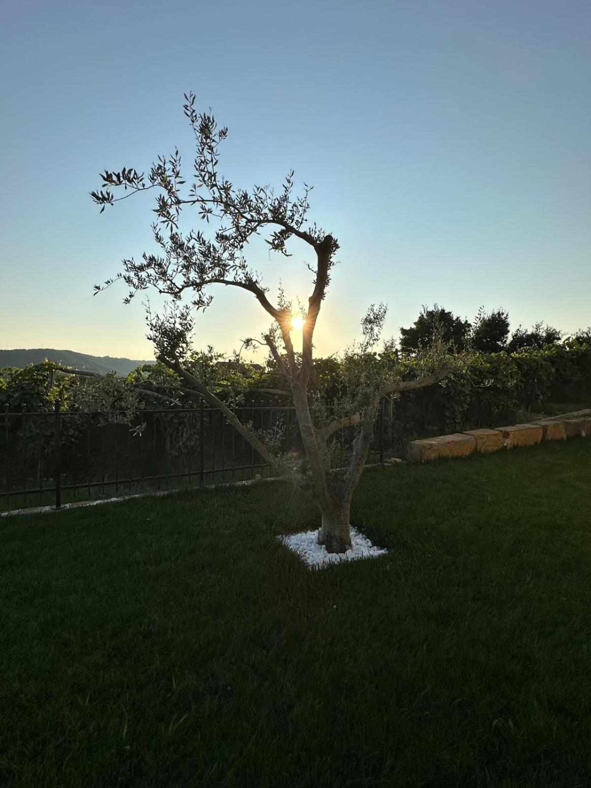 Villa Lea Marezige Heated Pool near Koper