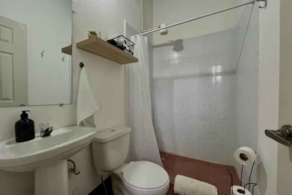 T3 Nice apartment just 3 blocks from the Park view 5