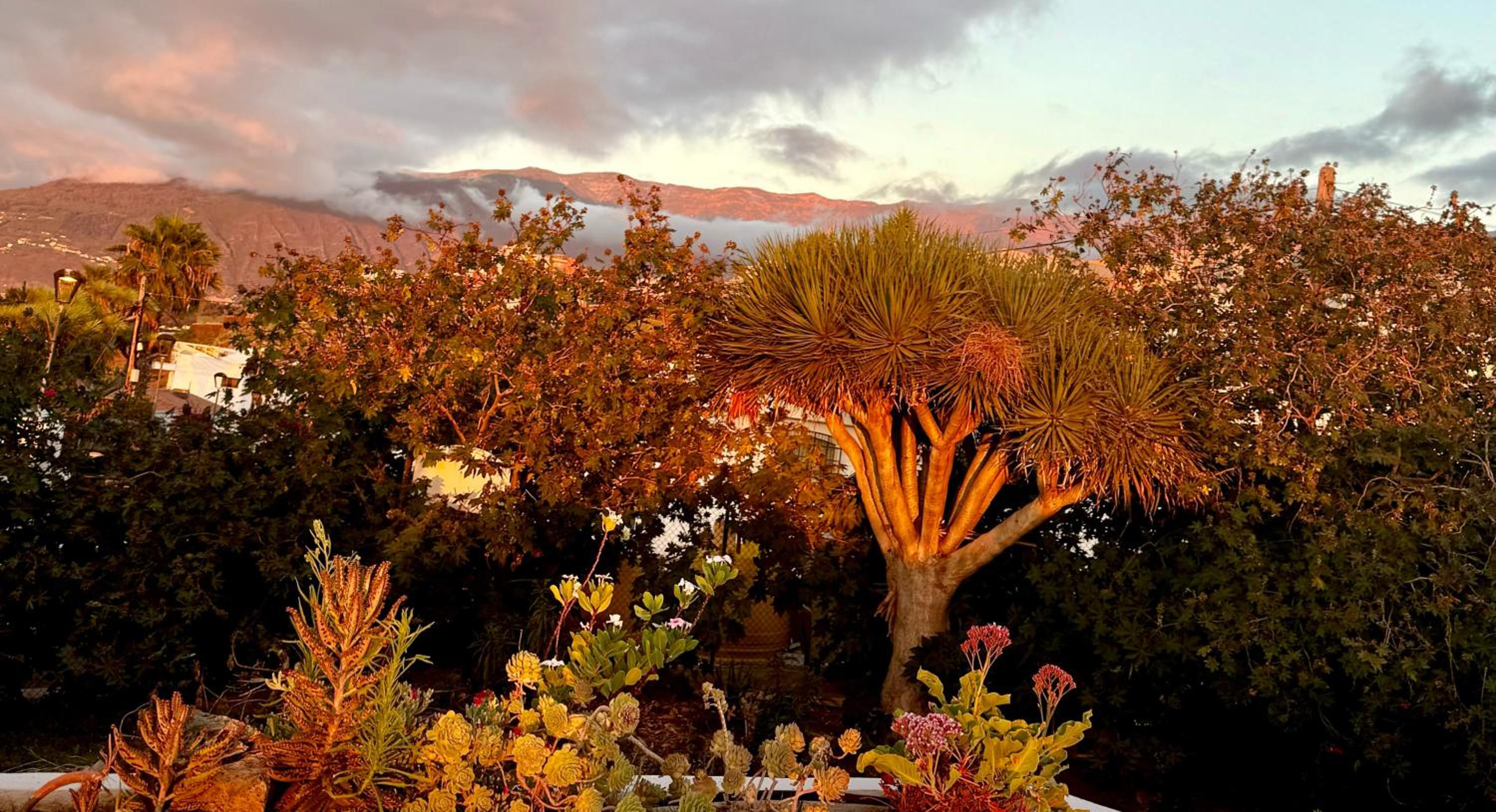 Zen Ocean View House Tenerife