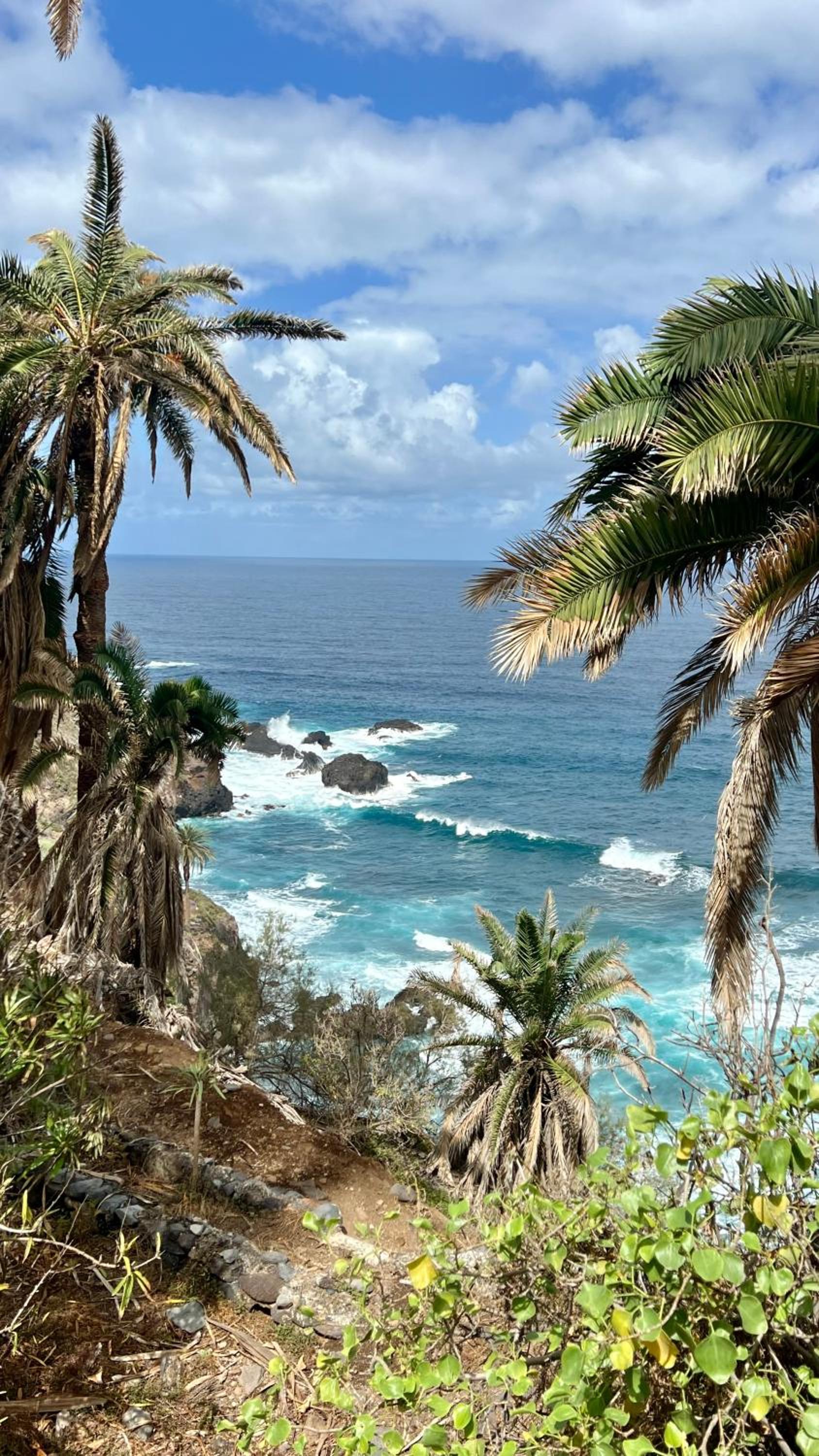 Zen Ocean View House Tenerife