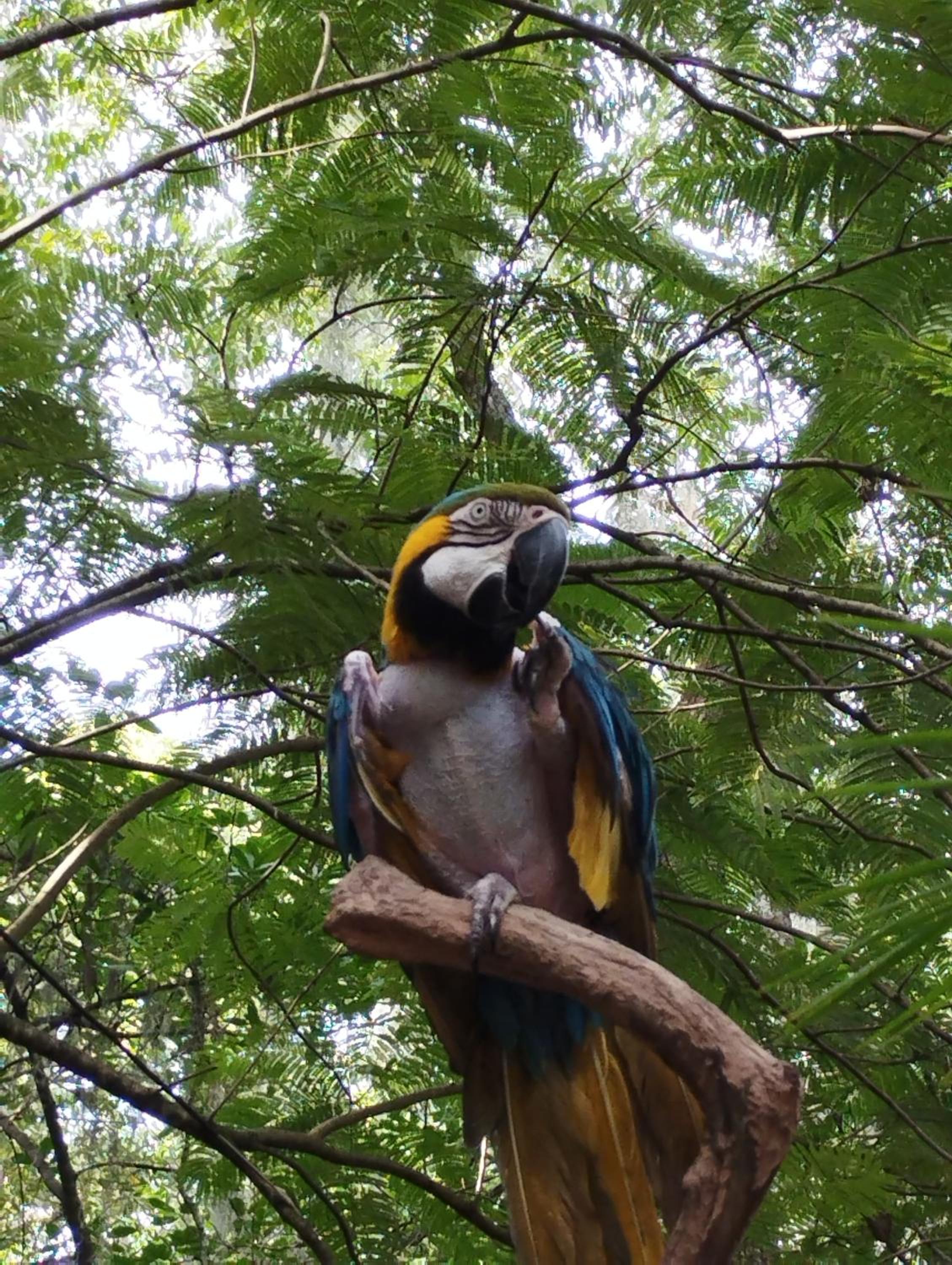 Posada la Chiqui