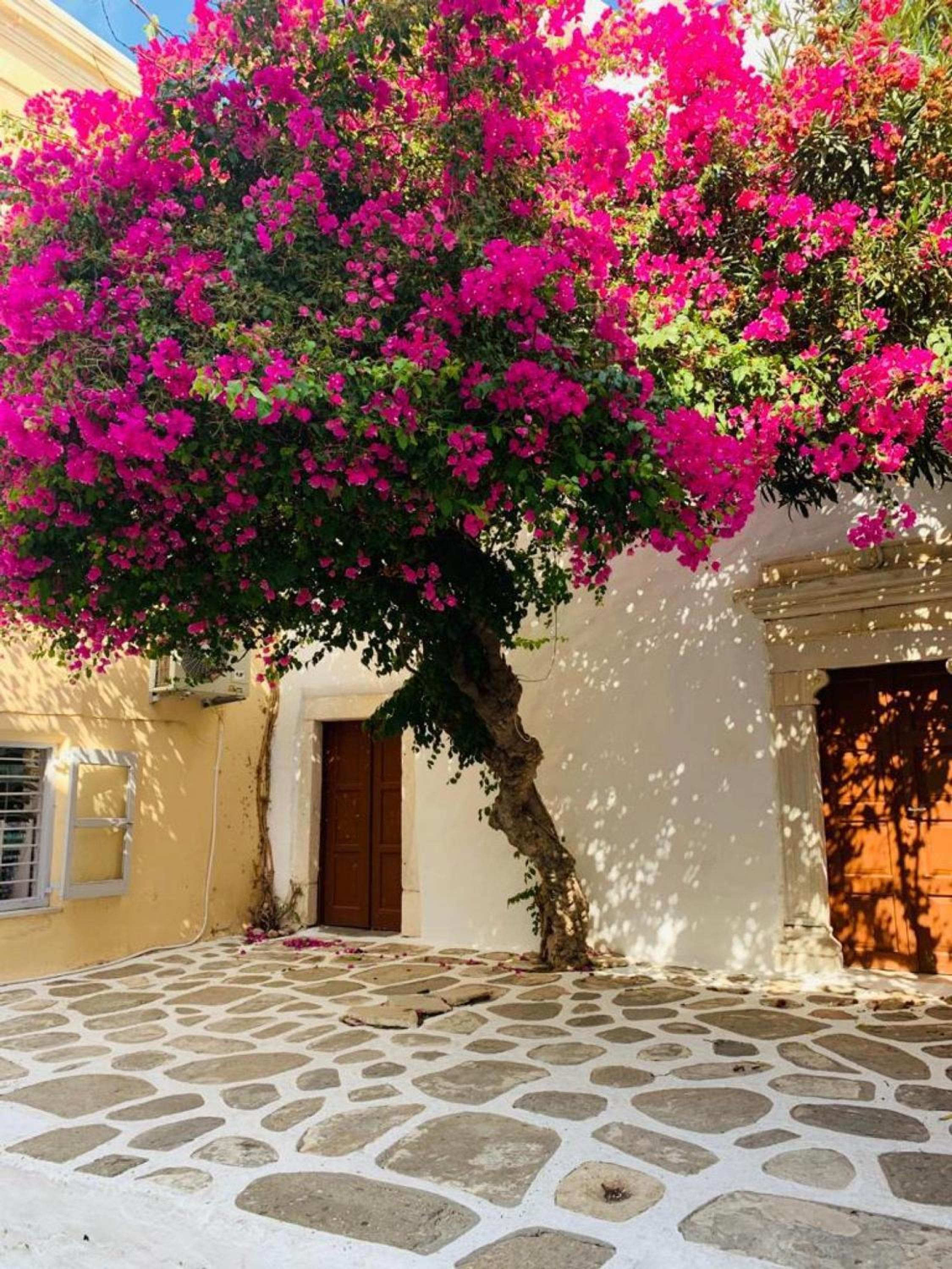 Afluencia Complex Naoussa