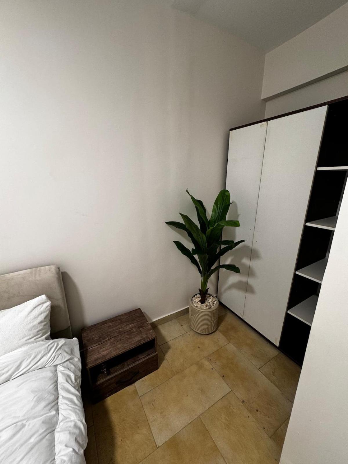Nile and pyramids view 4BR apt
