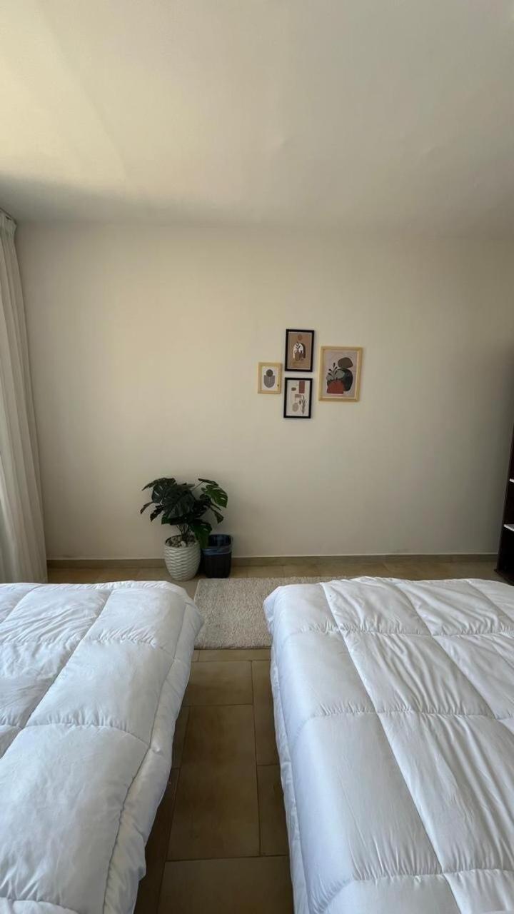 Nile and pyramids view 4BR apt