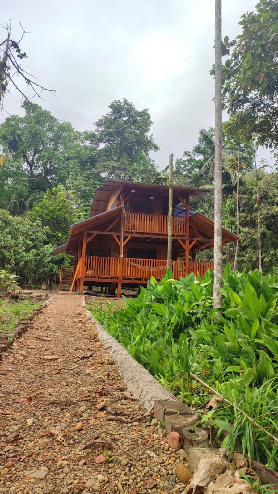 Mama Yeya raíces