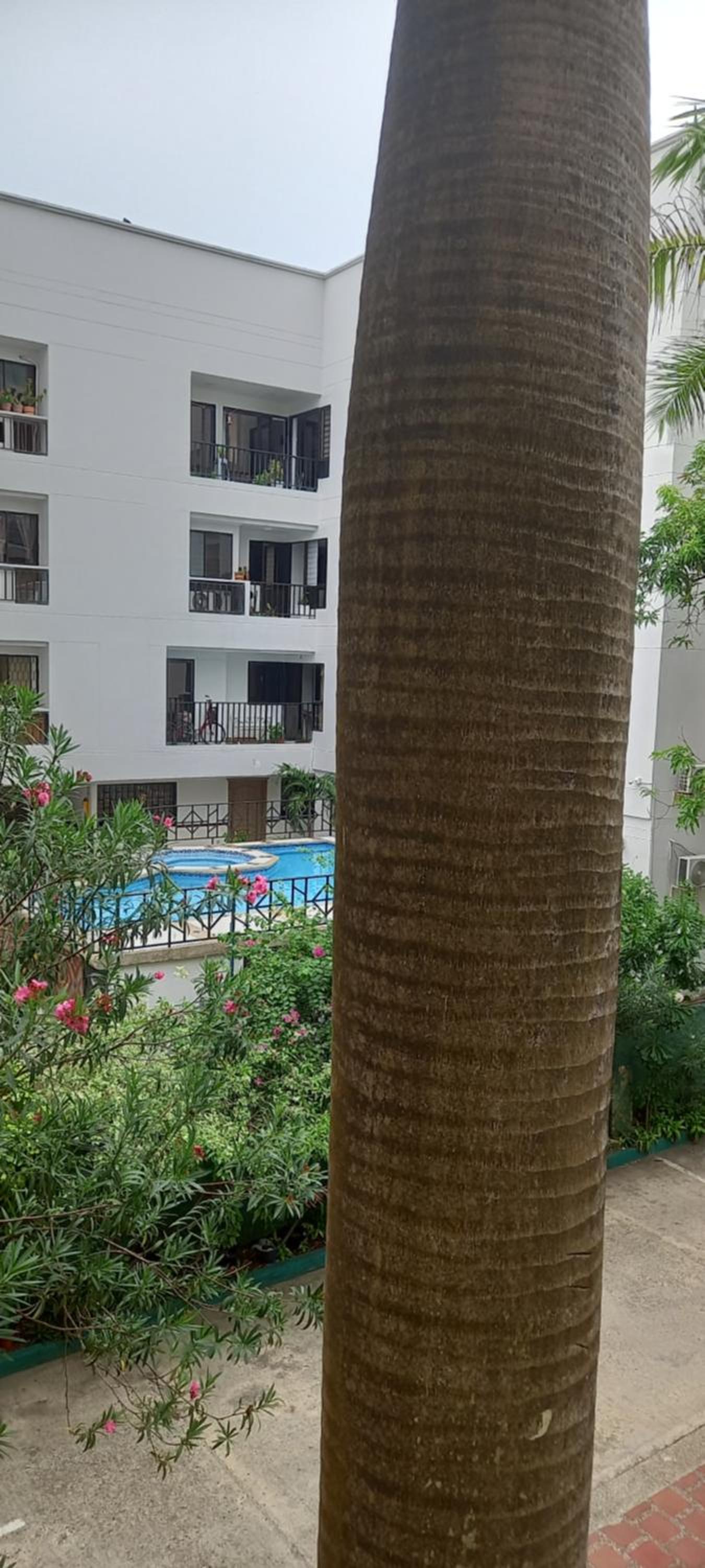 Apartamento El Cabrero