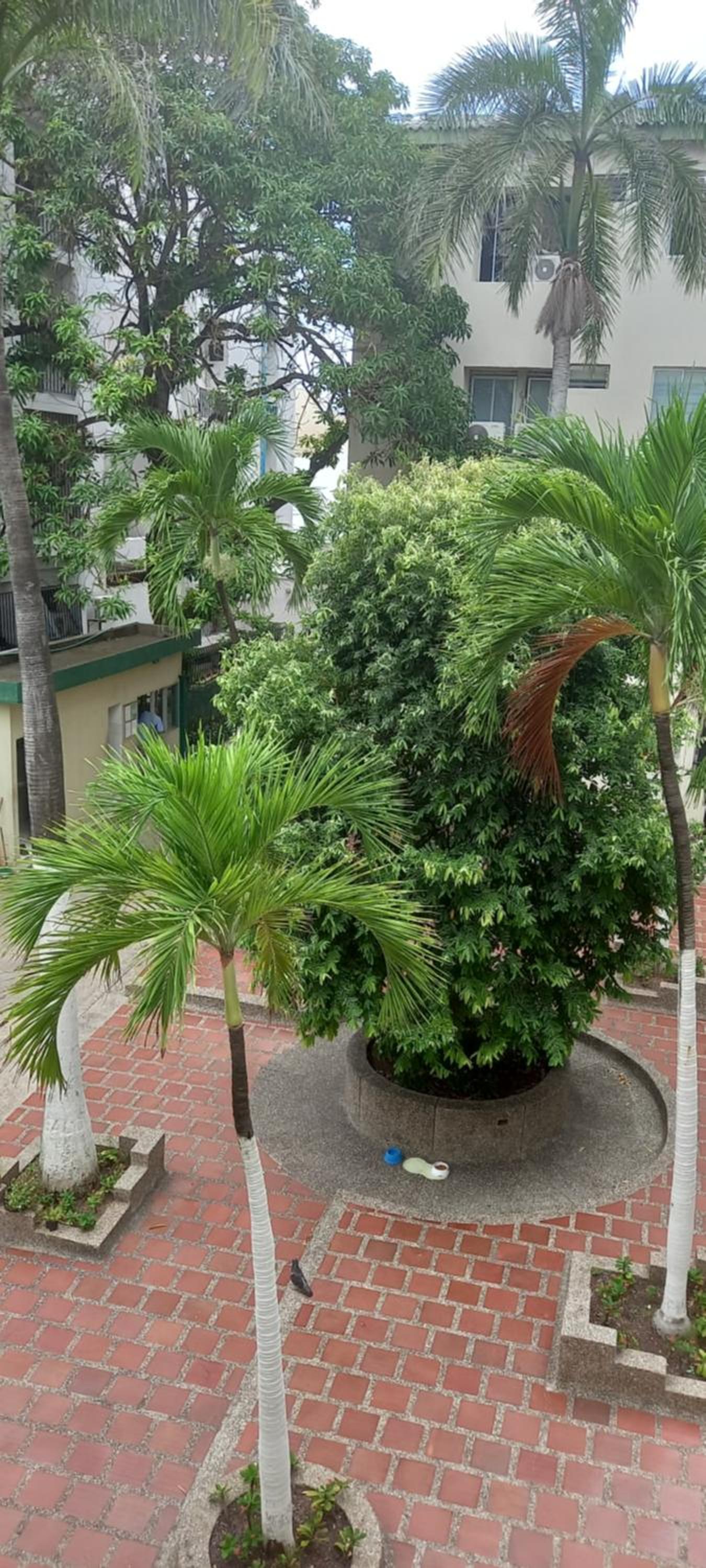 Apartamento El Cabrero
