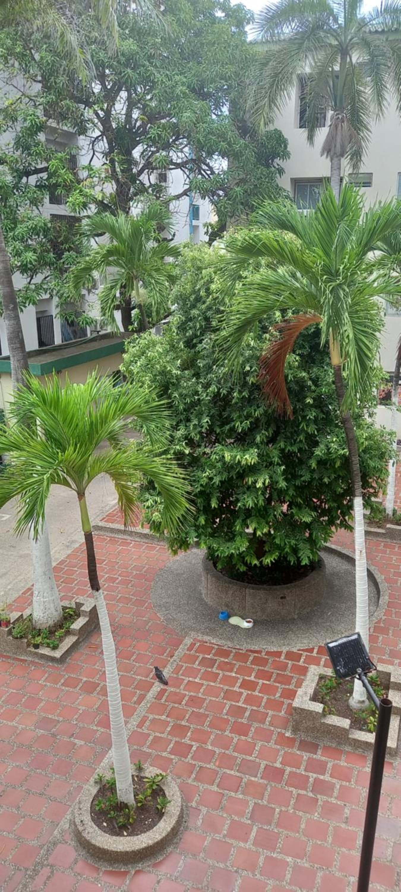 Apartamento El Cabrero