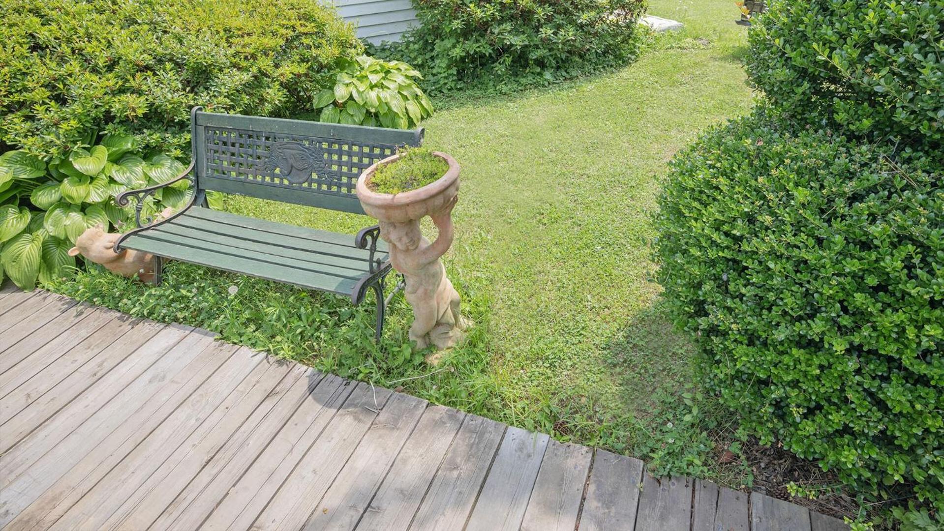 Photo 8