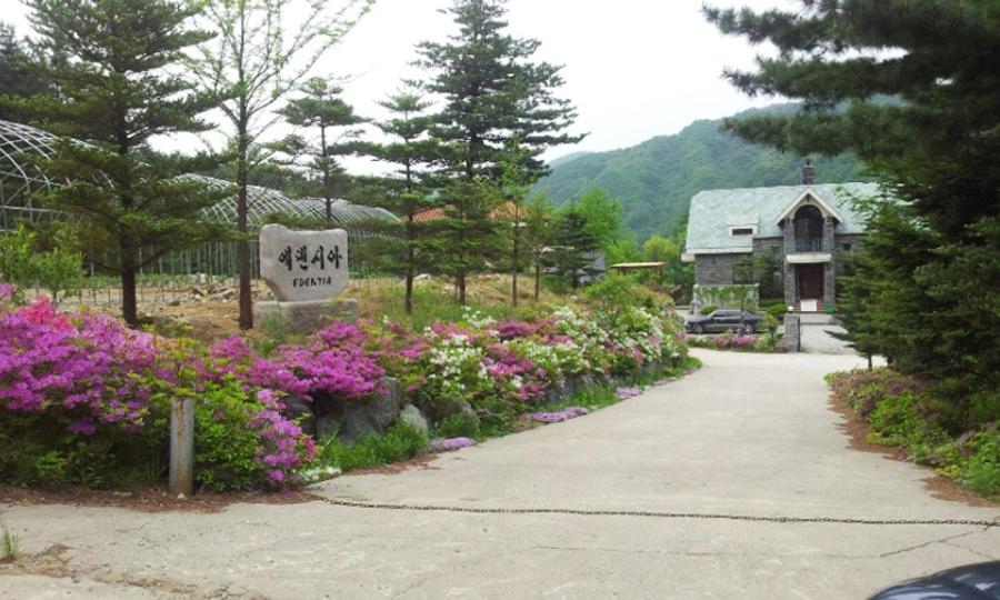 Gapyeong Edensia Byuljang Pension view 5