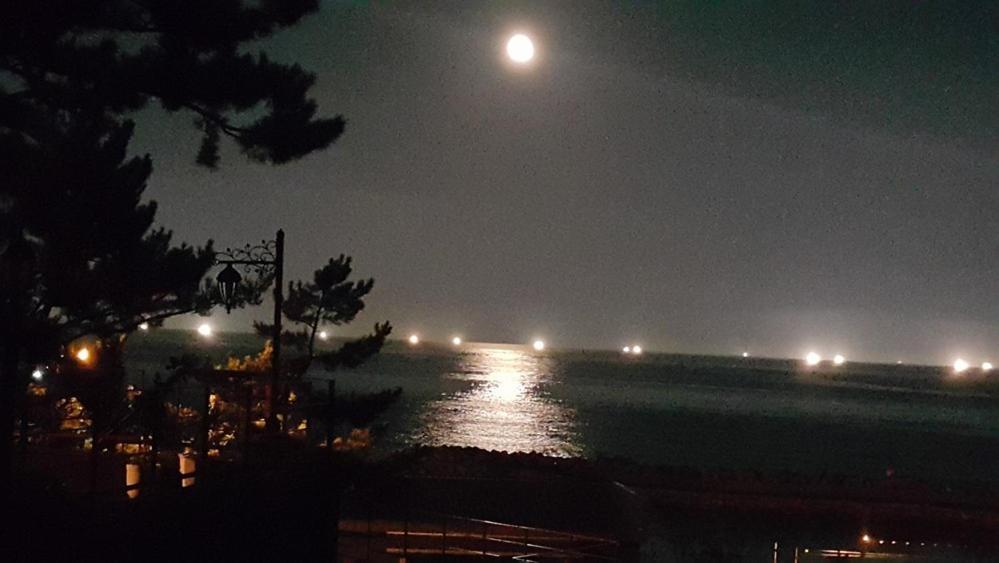 Pohang Ssideurim Pensyeon view 5