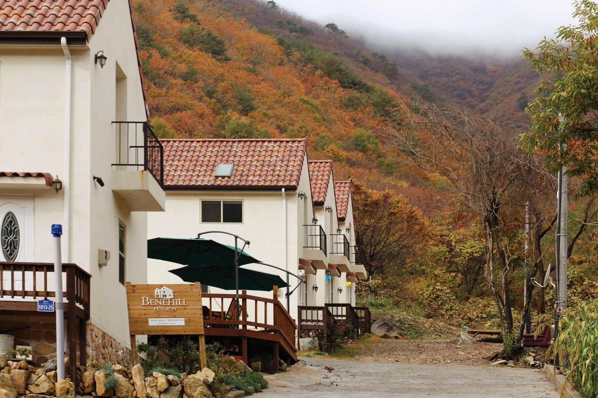 benehil pension