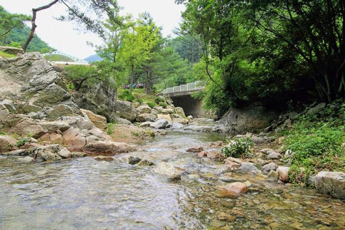 Yangpyeong Sanneomeo Pension
