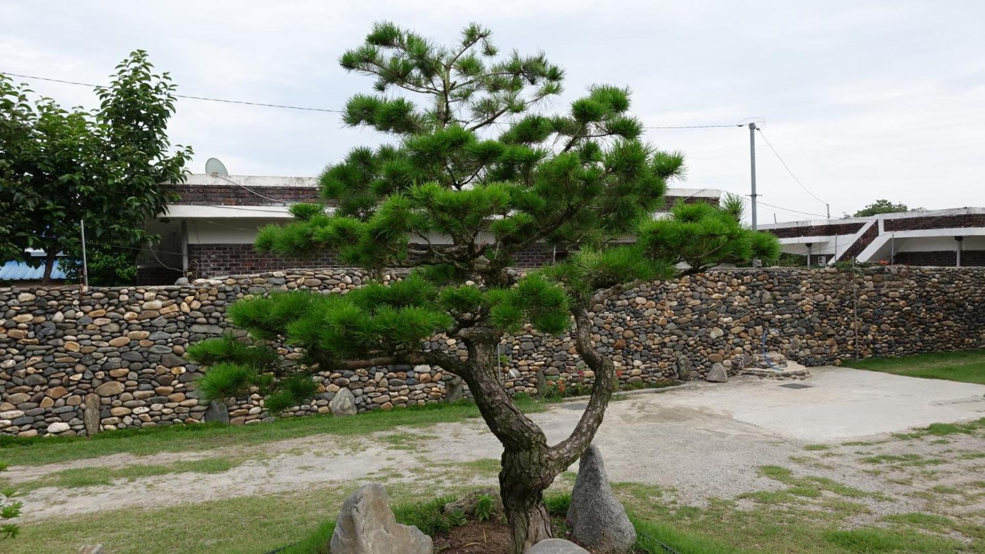 Buan sukranjeong pension