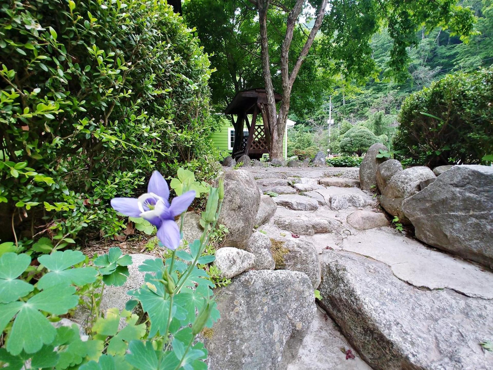Yang Yang Sangol Yeohang Pension