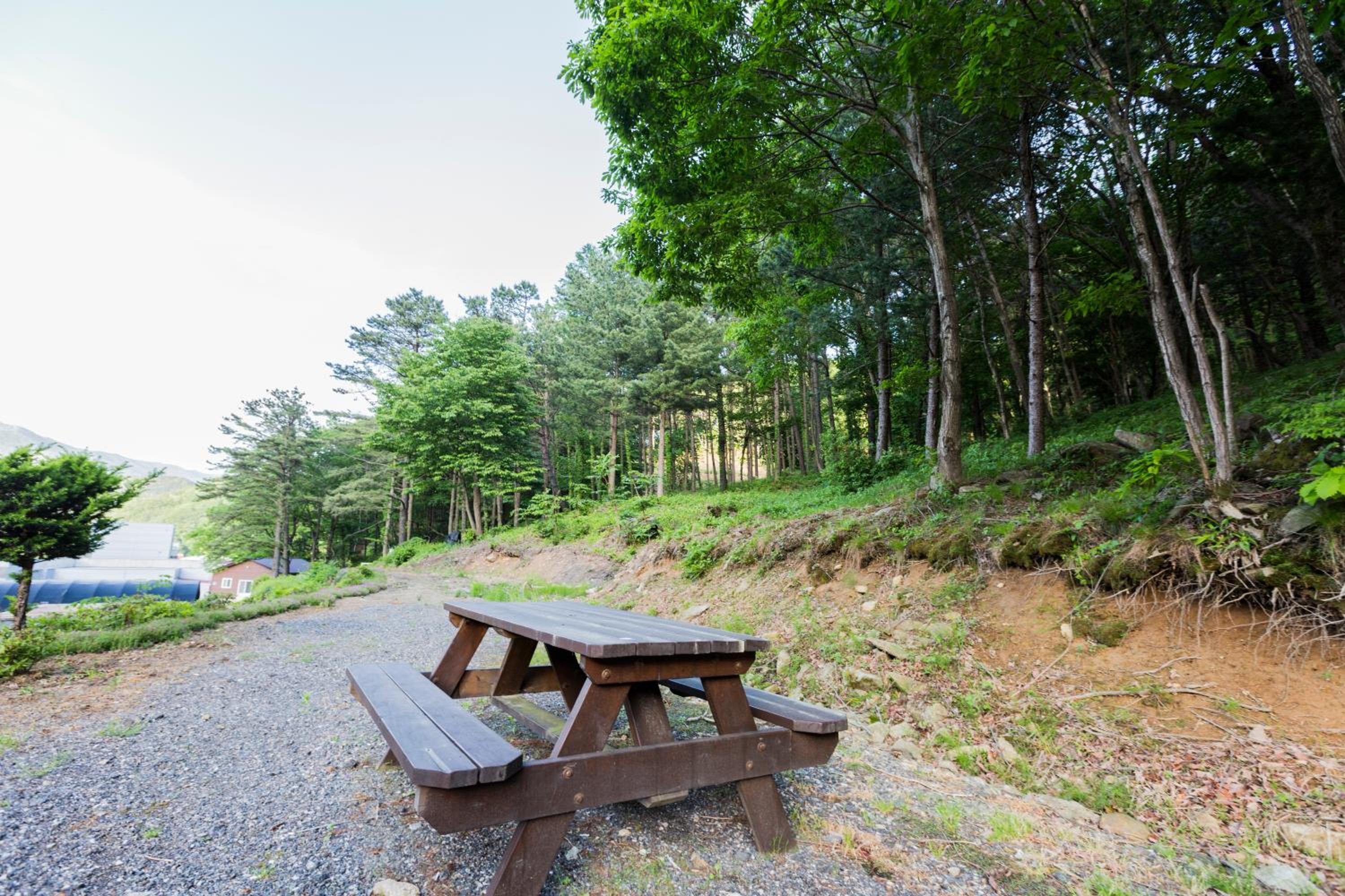 Muju Sky View Pension view 5