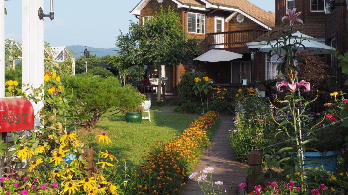 Pyeongchang Skyline Pension, 평창군 - 8