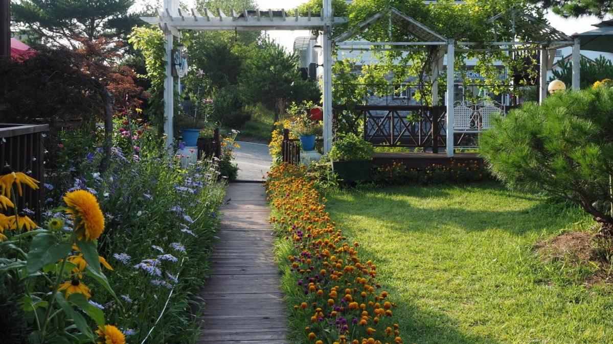 Pyeongchang Skyline Pension, 평창군 - 9