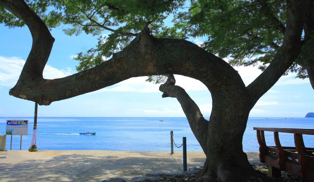 Namhae Pinky Marine Pension